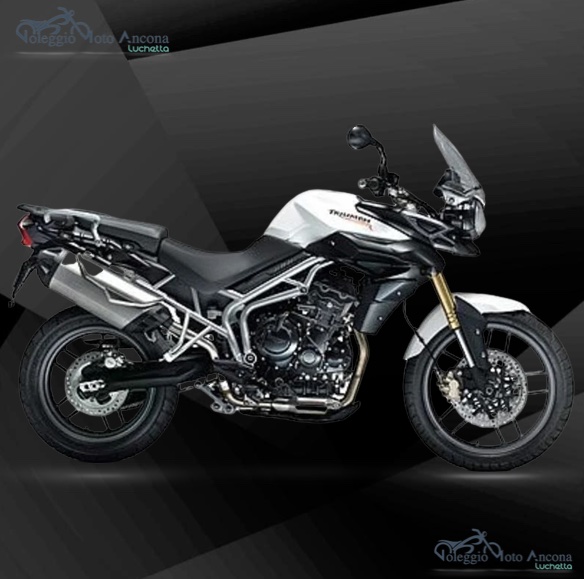 Noleggio Triumph Tiger 800 cc Prezzi